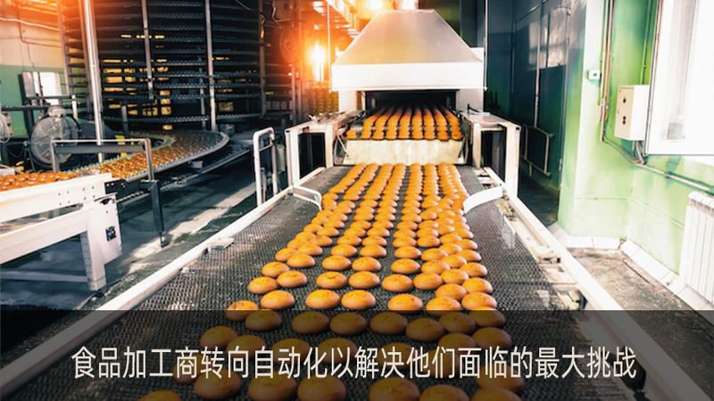 烘焙食品输送网带分类解析：如何选择合适的网带
